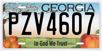 GA license plate PZV4607