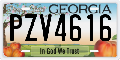 GA license plate PZV4616