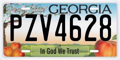 GA license plate PZV4628