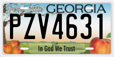 GA license plate PZV4631