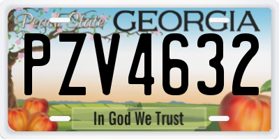 GA license plate PZV4632