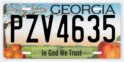 GA license plate PZV4635