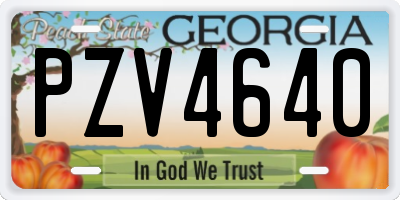 GA license plate PZV4640
