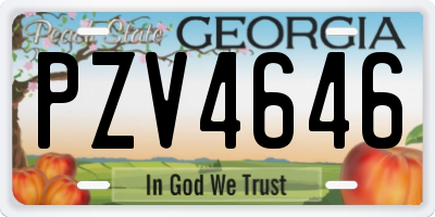 GA license plate PZV4646