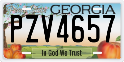 GA license plate PZV4657