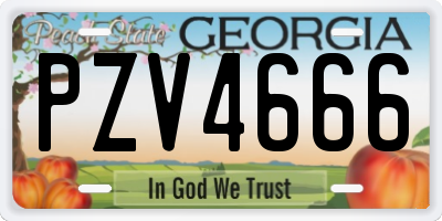 GA license plate PZV4666