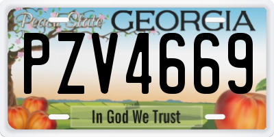 GA license plate PZV4669