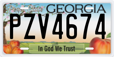 GA license plate PZV4674