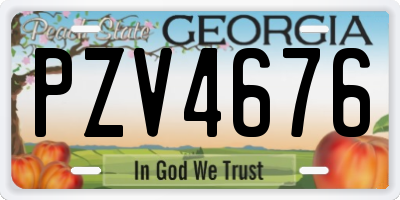 GA license plate PZV4676