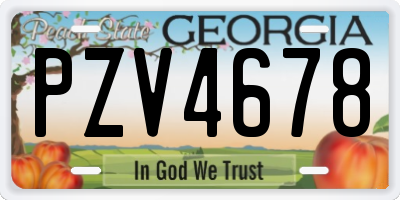 GA license plate PZV4678