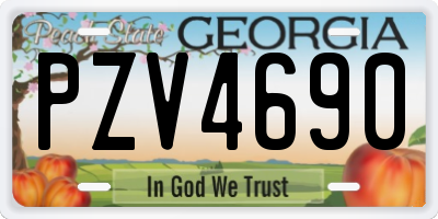 GA license plate PZV4690