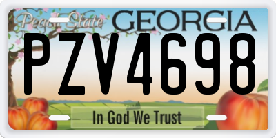 GA license plate PZV4698