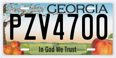 GA license plate PZV4700