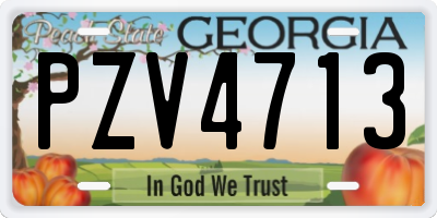 GA license plate PZV4713