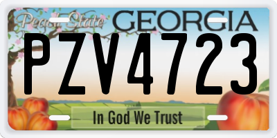 GA license plate PZV4723