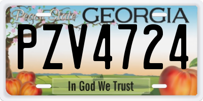 GA license plate PZV4724