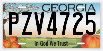 GA license plate PZV4725