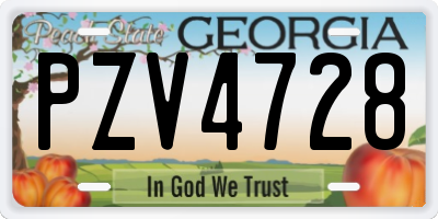 GA license plate PZV4728
