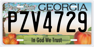 GA license plate PZV4729