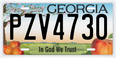 GA license plate PZV4730