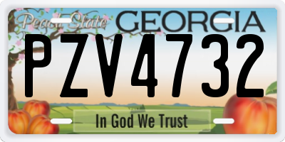 GA license plate PZV4732