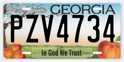 GA license plate PZV4734