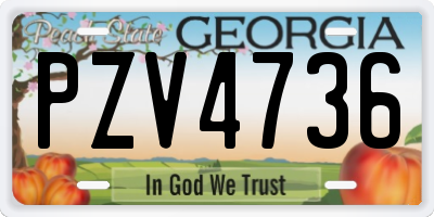 GA license plate PZV4736