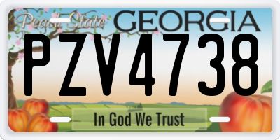 GA license plate PZV4738