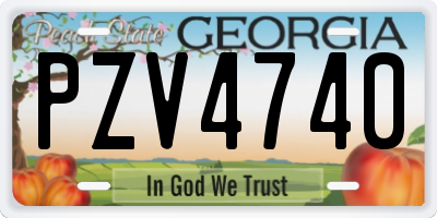 GA license plate PZV4740