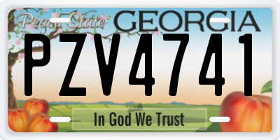 GA license plate PZV4741
