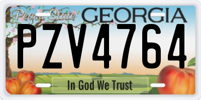 GA license plate PZV4764