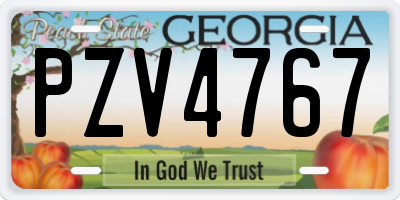 GA license plate PZV4767