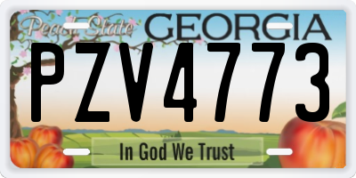 GA license plate PZV4773