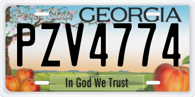 GA license plate PZV4774