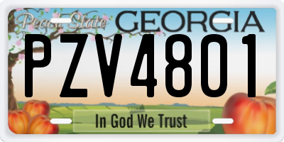 GA license plate PZV4801