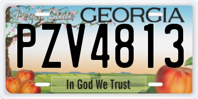 GA license plate PZV4813