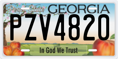 GA license plate PZV4820