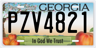 GA license plate PZV4821