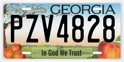 GA license plate PZV4828