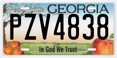 GA license plate PZV4838