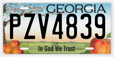 GA license plate PZV4839