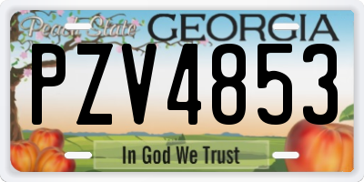 GA license plate PZV4853