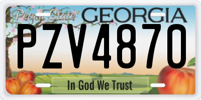 GA license plate PZV4870