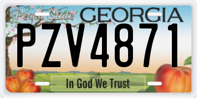 GA license plate PZV4871