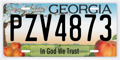 GA license plate PZV4873