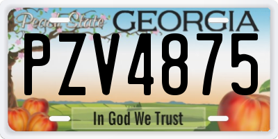 GA license plate PZV4875