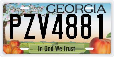 GA license plate PZV4881