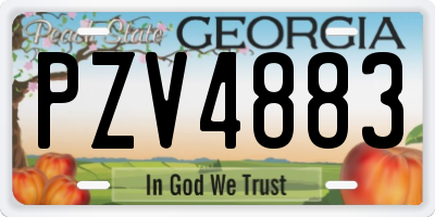 GA license plate PZV4883