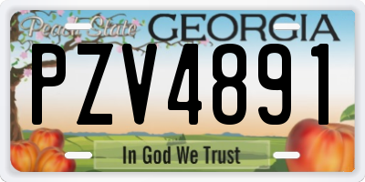 GA license plate PZV4891