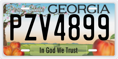 GA license plate PZV4899
